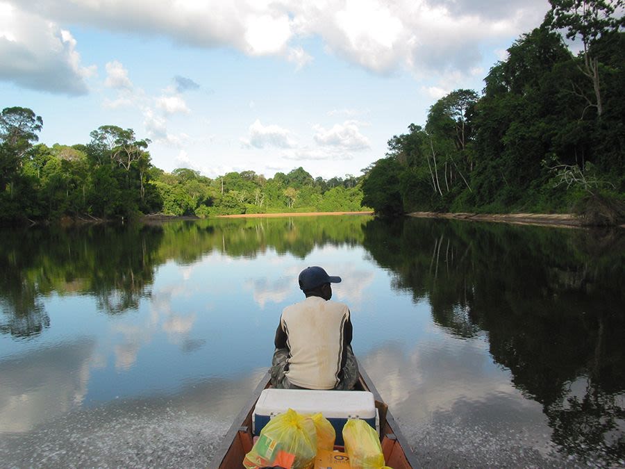 Exploring the Amazon from Danpaati