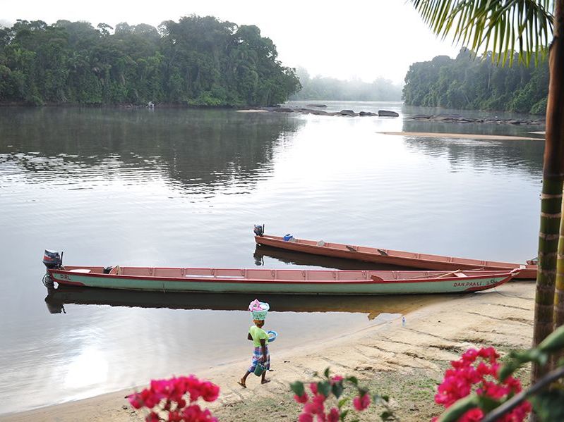 Introducing the Danpaati River
