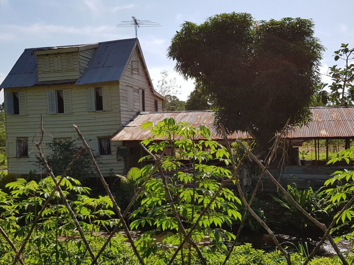 Visit Plantation Kronenburg and Marienbosch