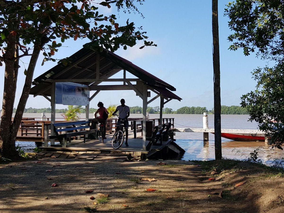 Visit Plantation Kronenburg and Marienbosch