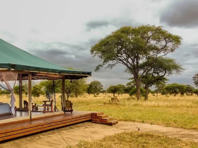 Honeyguide Tarangire Camp