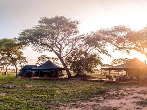 Honeyguide Tarangire Camp