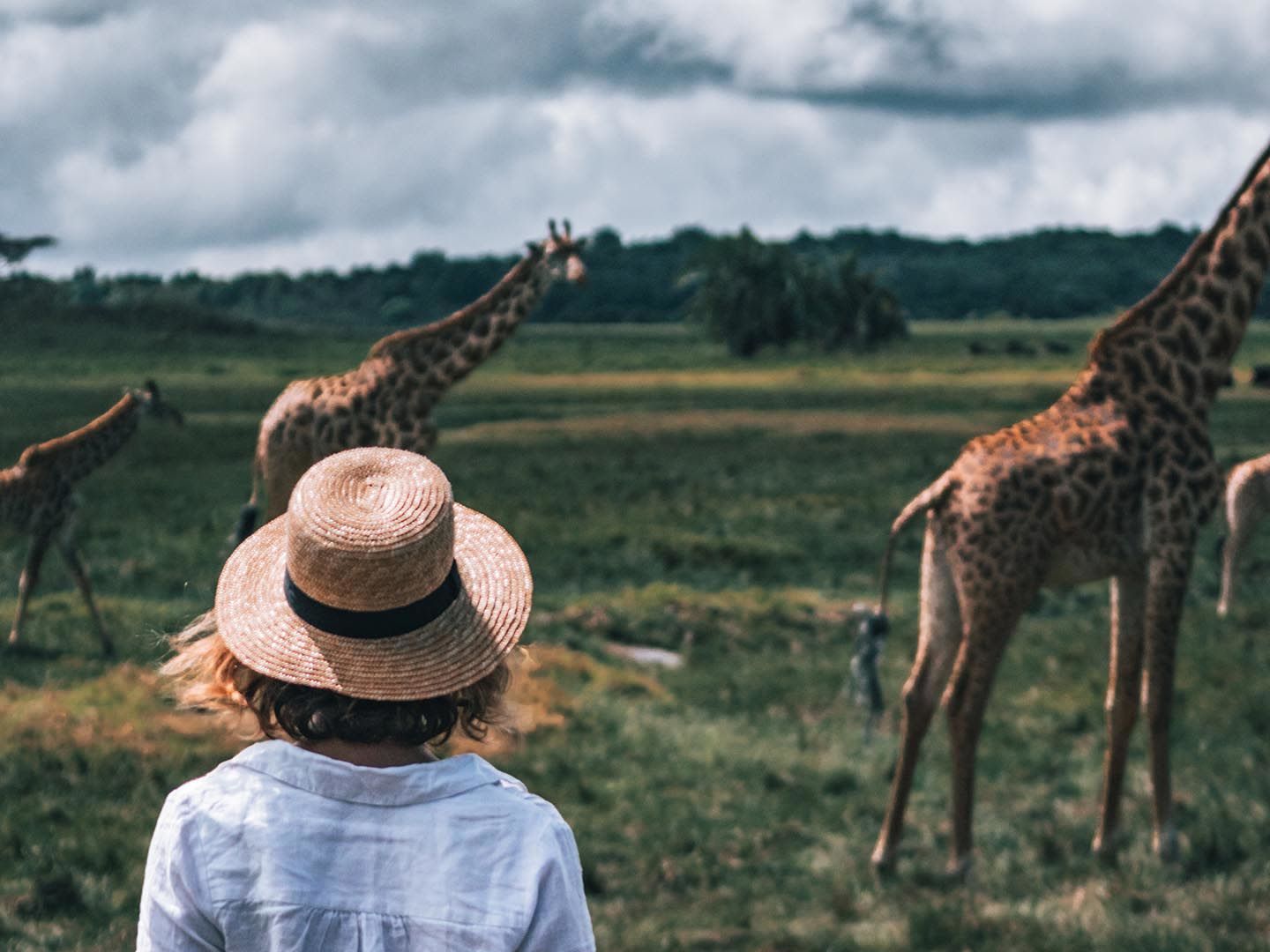Morning Tululusia Waterfall Walk. Afternoon Game Drive in Arusha National Park