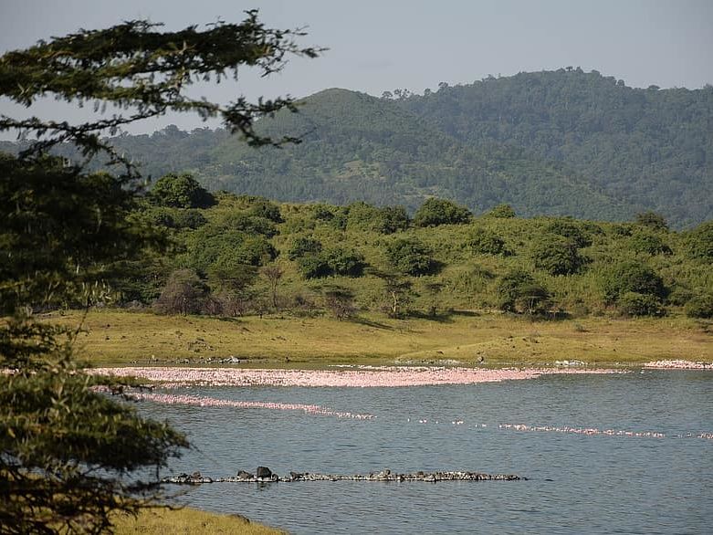 Morning Tululusia Waterfall Walk. Afternoon Game Drive in Arusha National Park