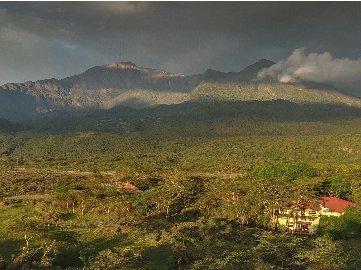 Fly from Doha to Kilimanjaro - Transfer to Arusha.