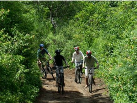 Rivertrees Country Inn