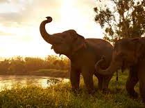 Morning - Walking with Giants, Evening - Spice Spoons Cooking Class