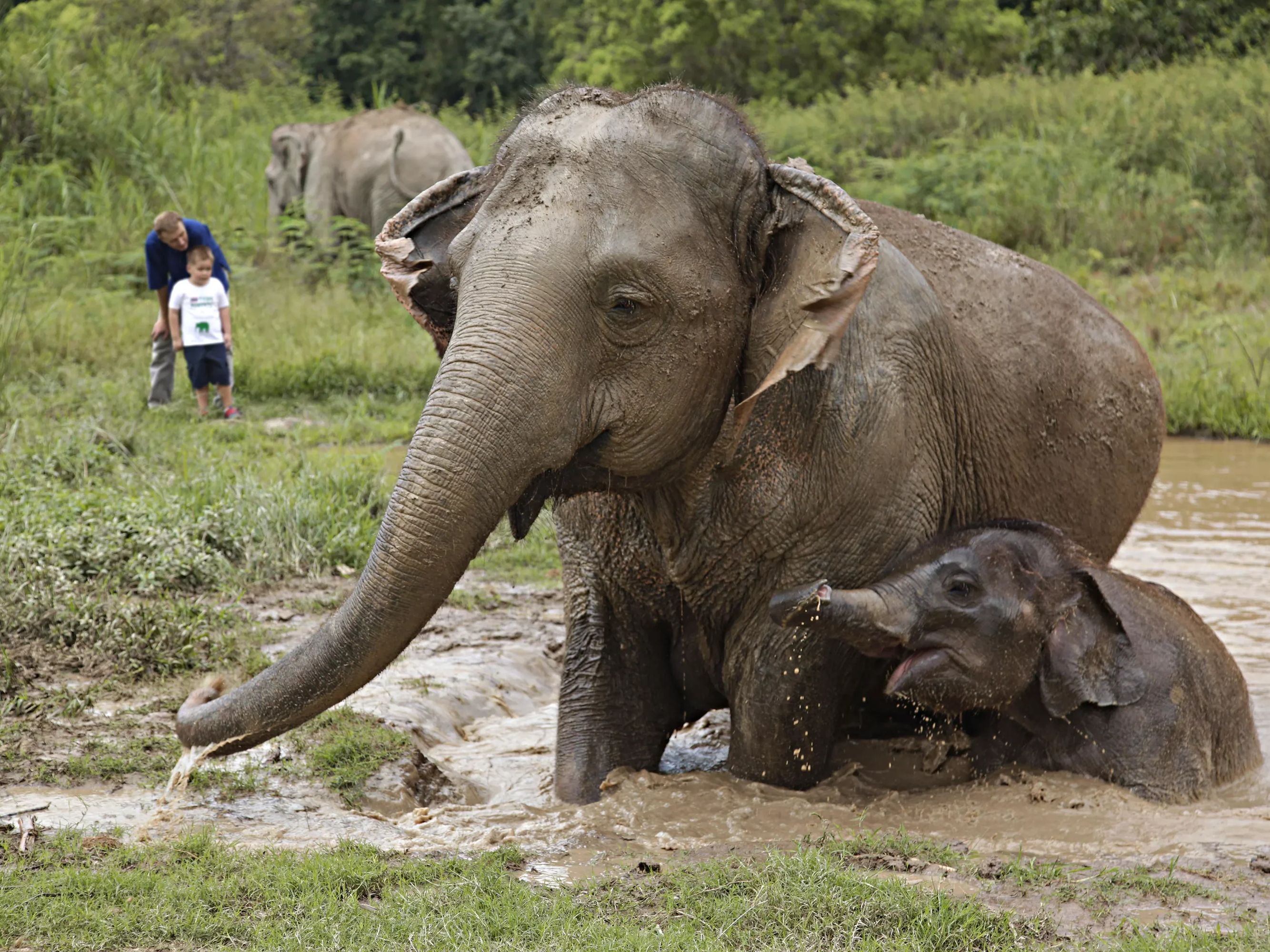 Morning - Walking with Giants, Evening - Spice Spoons Cooking Class