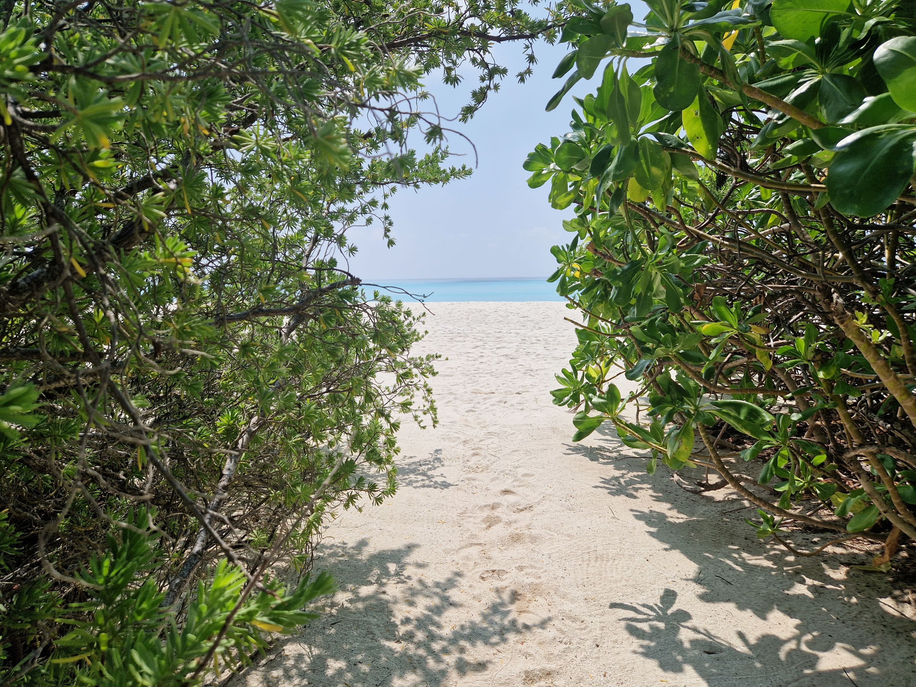 Introducing Fulhadhoo Island