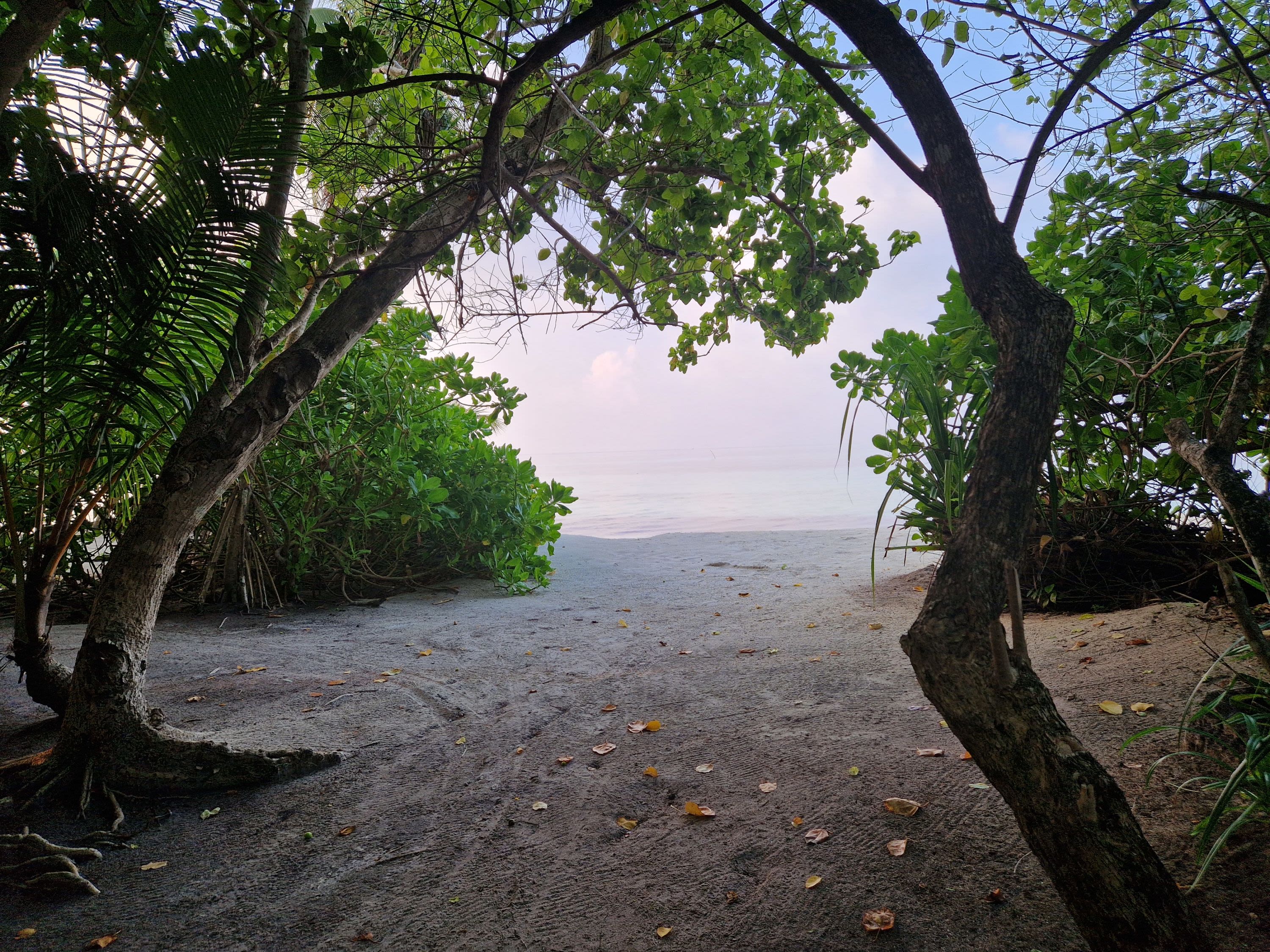 Snorkelling and Mangrove Kayaking on Goidhoo Island