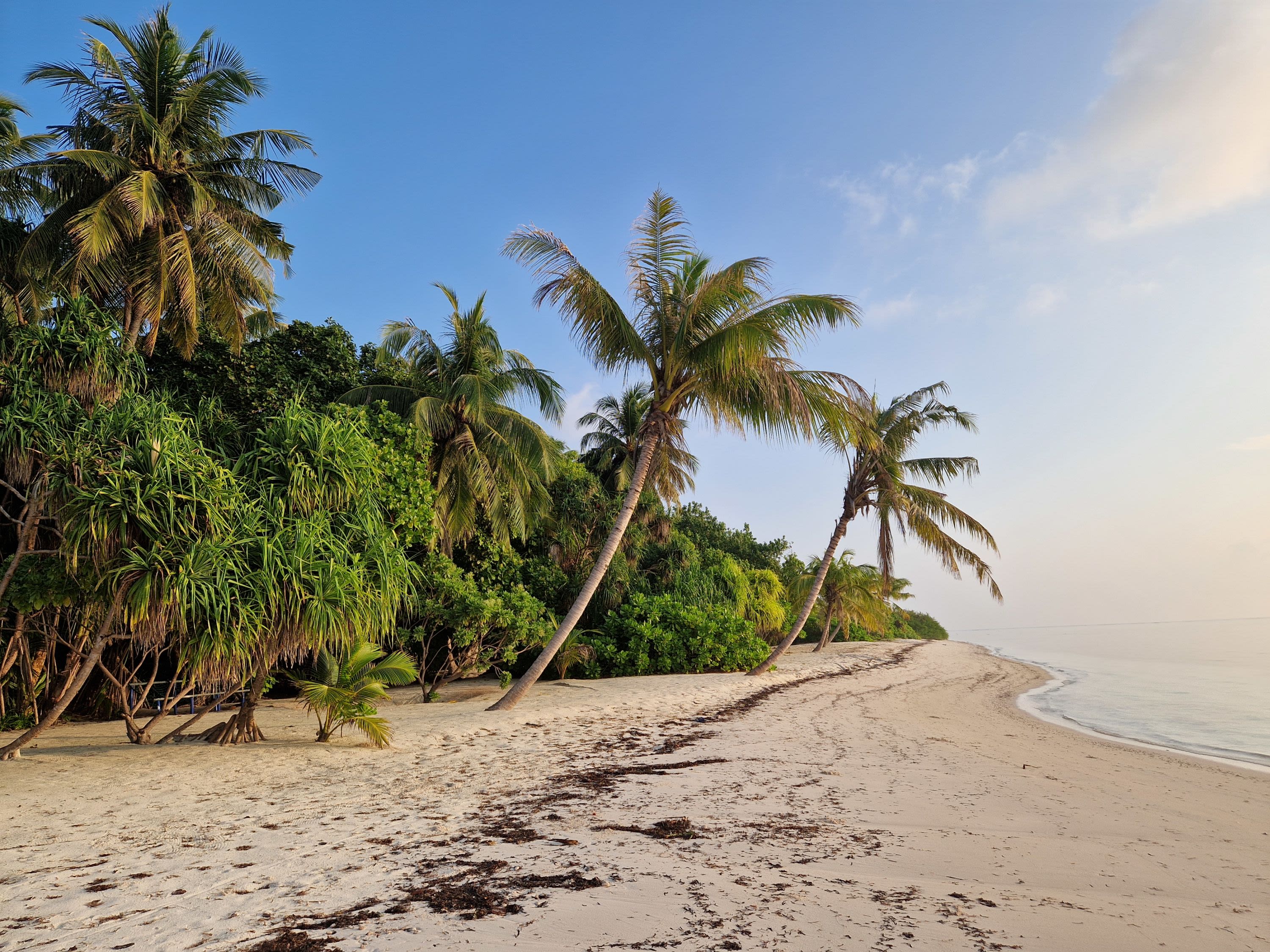 Snorkelling and Mangrove Kayaking on Goidhoo Island