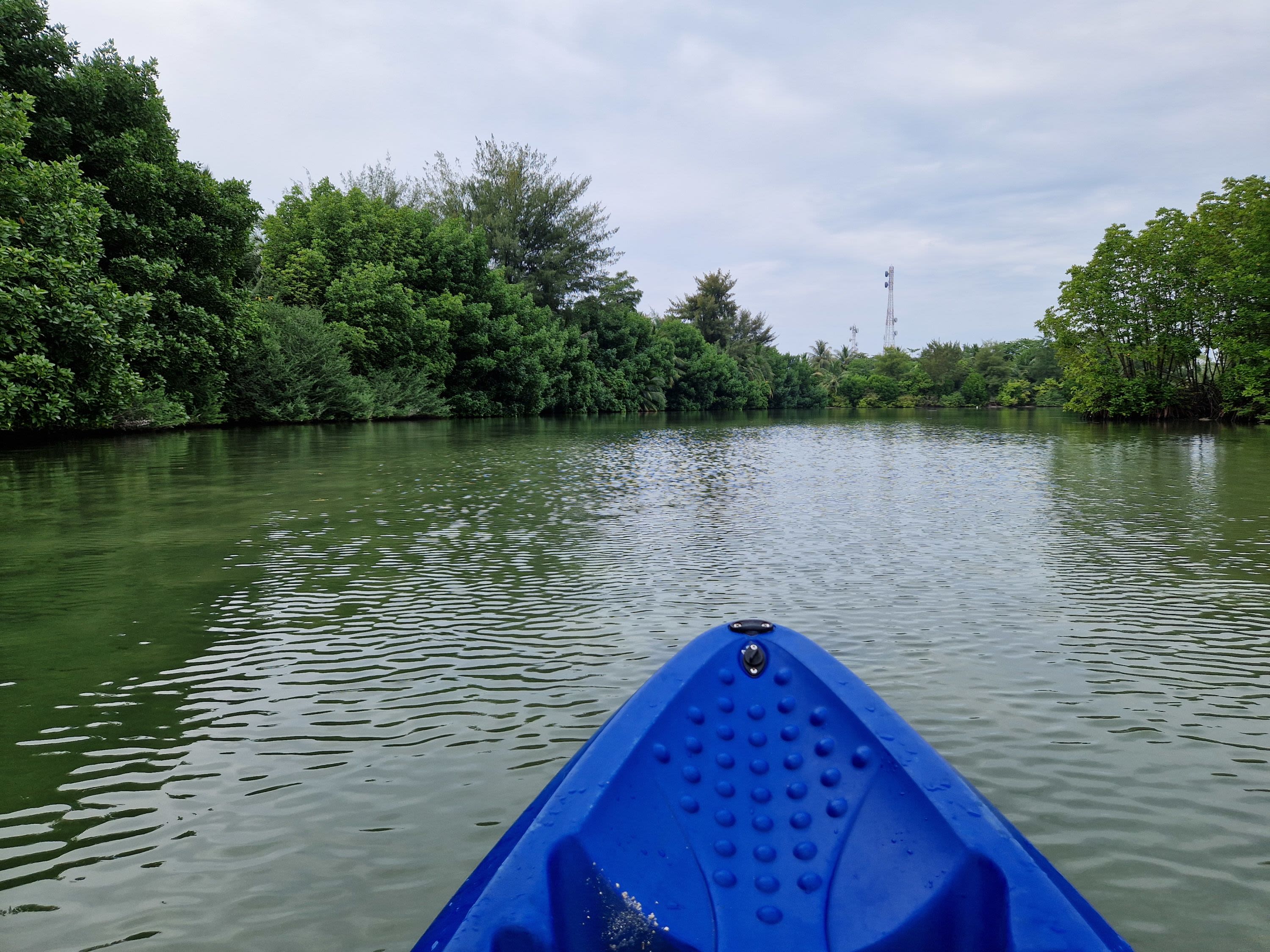 Snorkelling and Mangrove Kayaking on Goidhoo Island