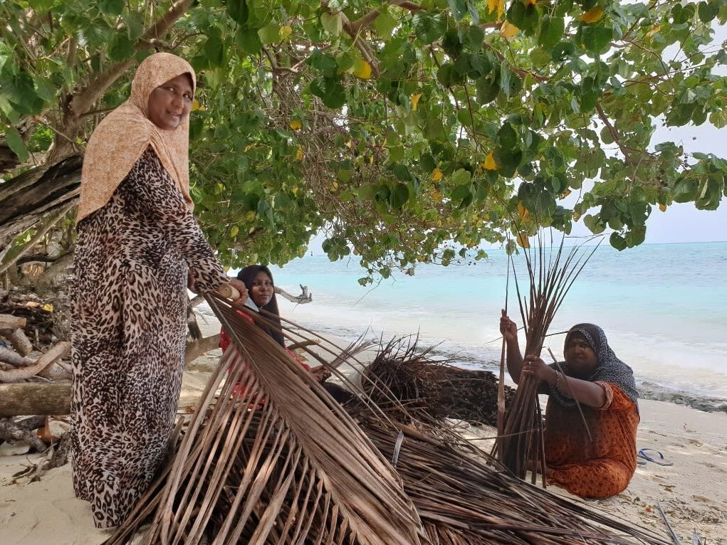 Introducing Goidhoo Island