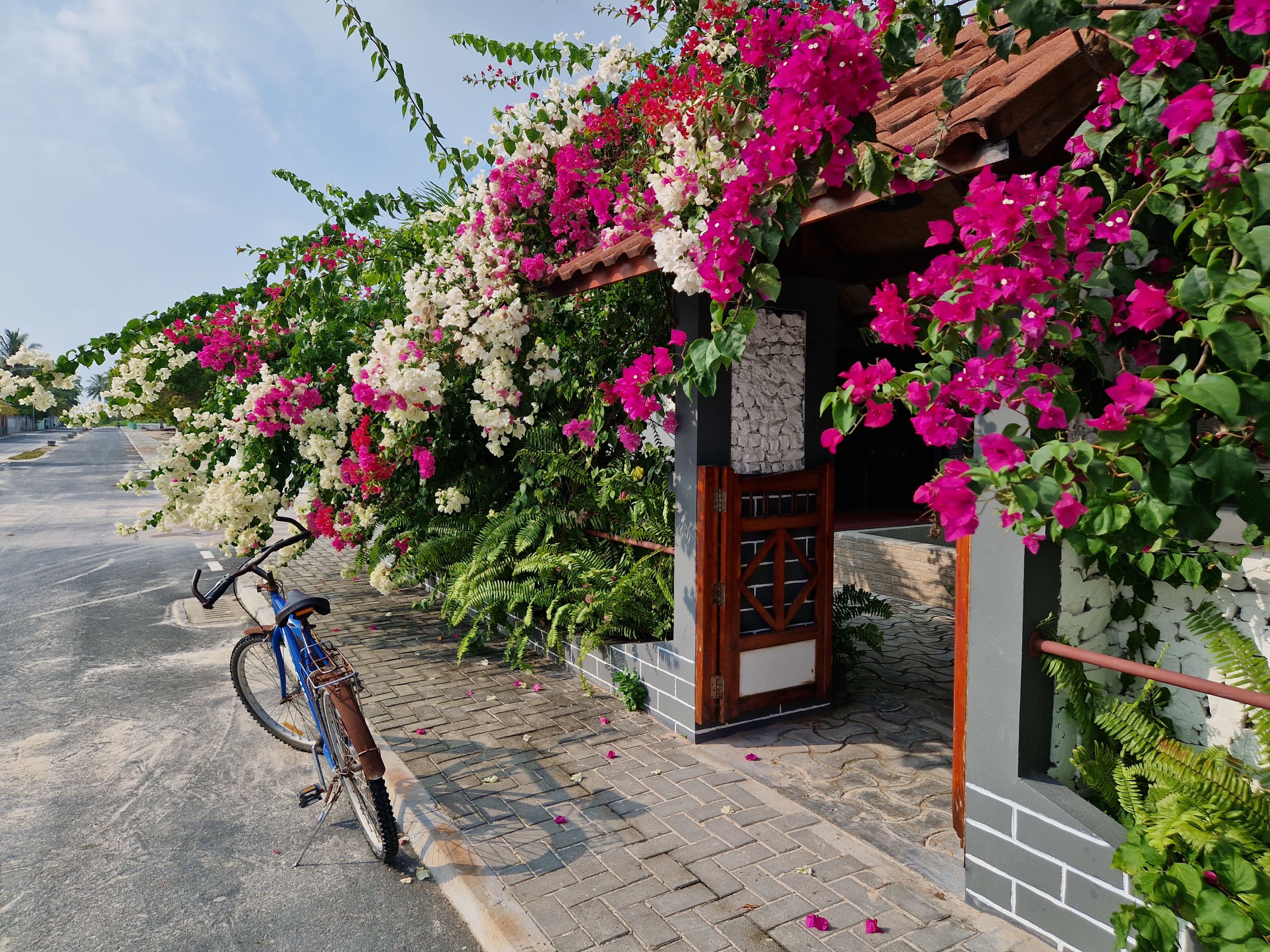 Day at Leisure on Hanimaadhoo