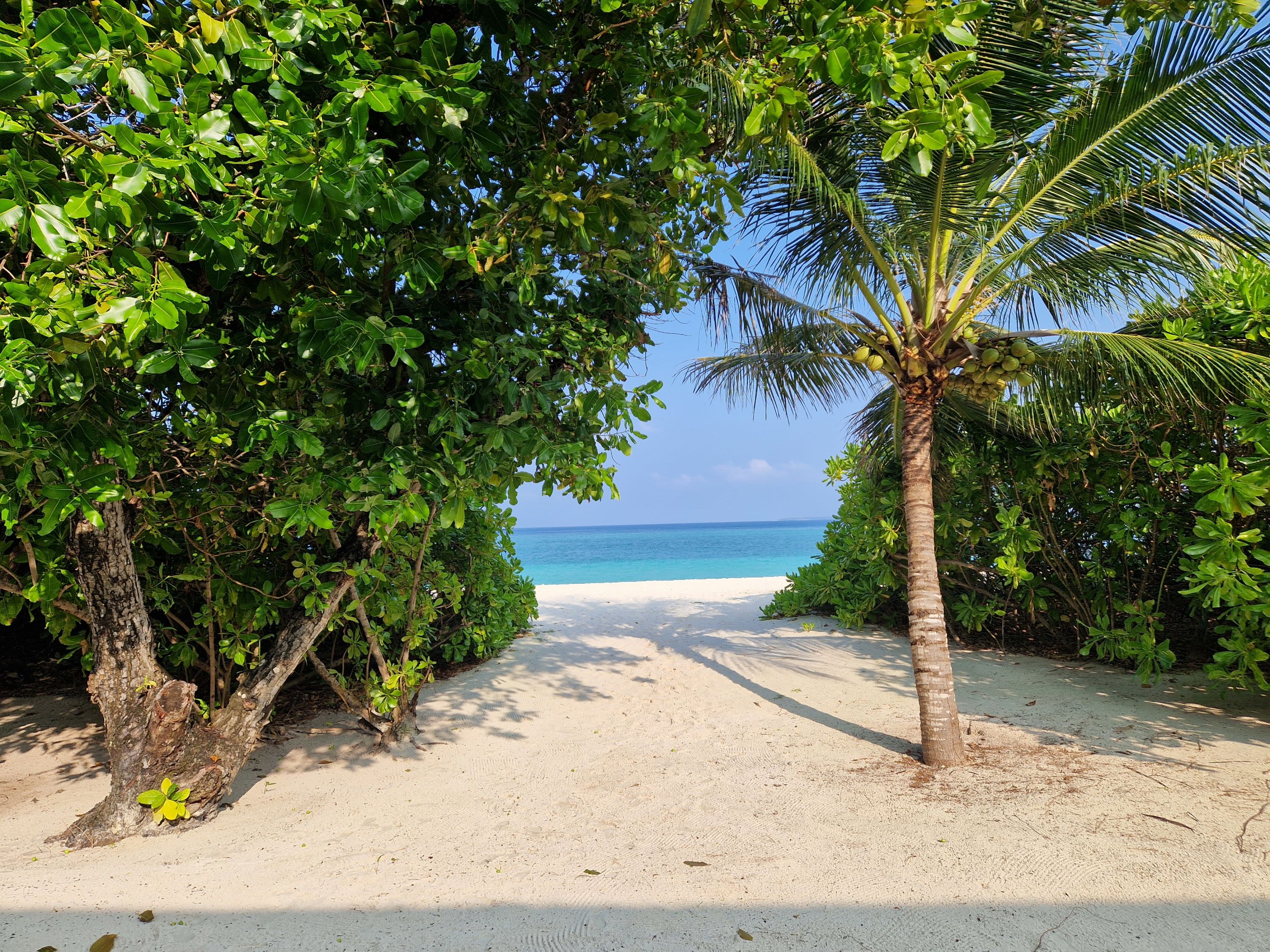 Day at Leisure on Hanimaadhoo