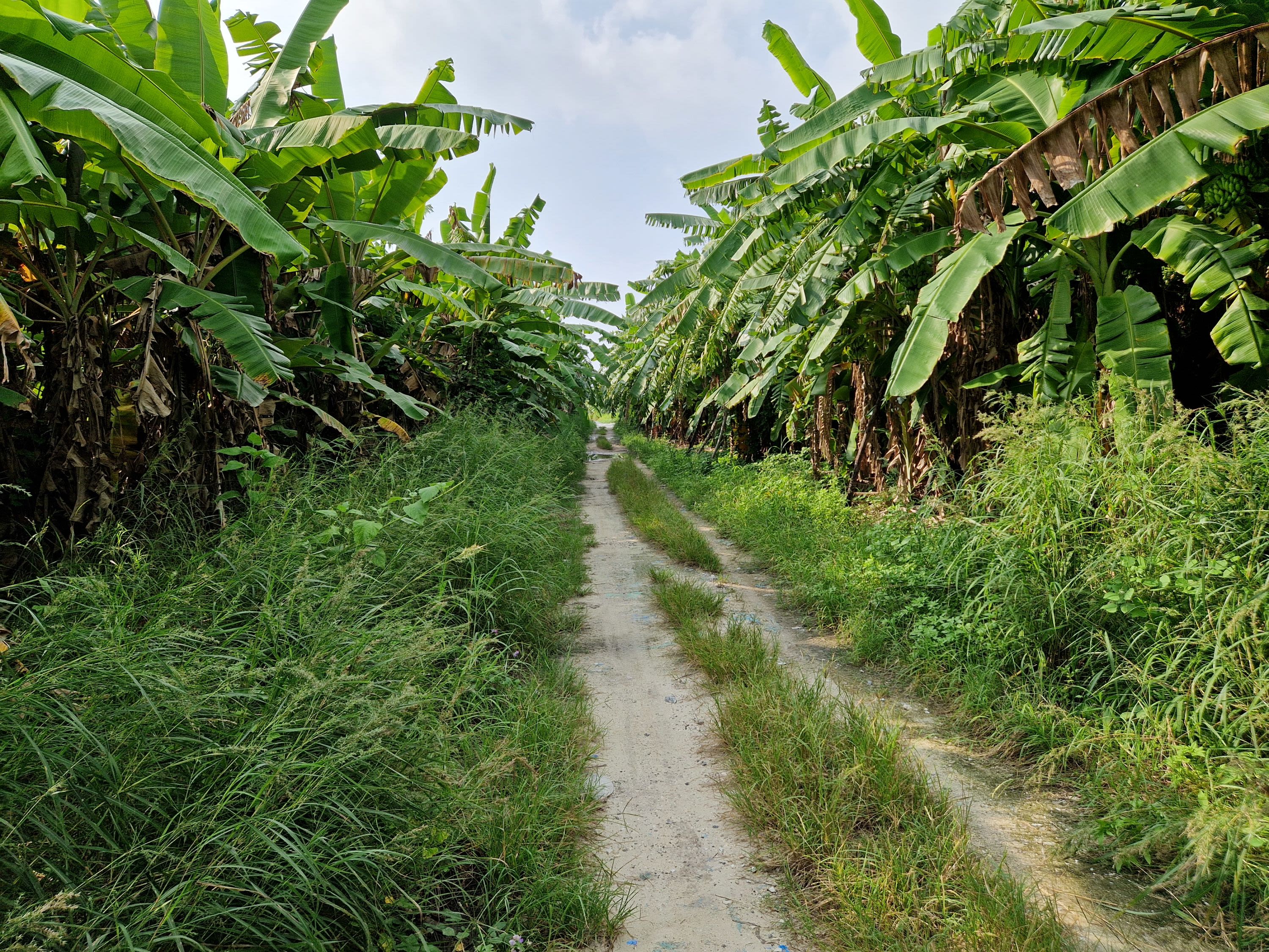 Day at Leisure on Hanimaadhoo