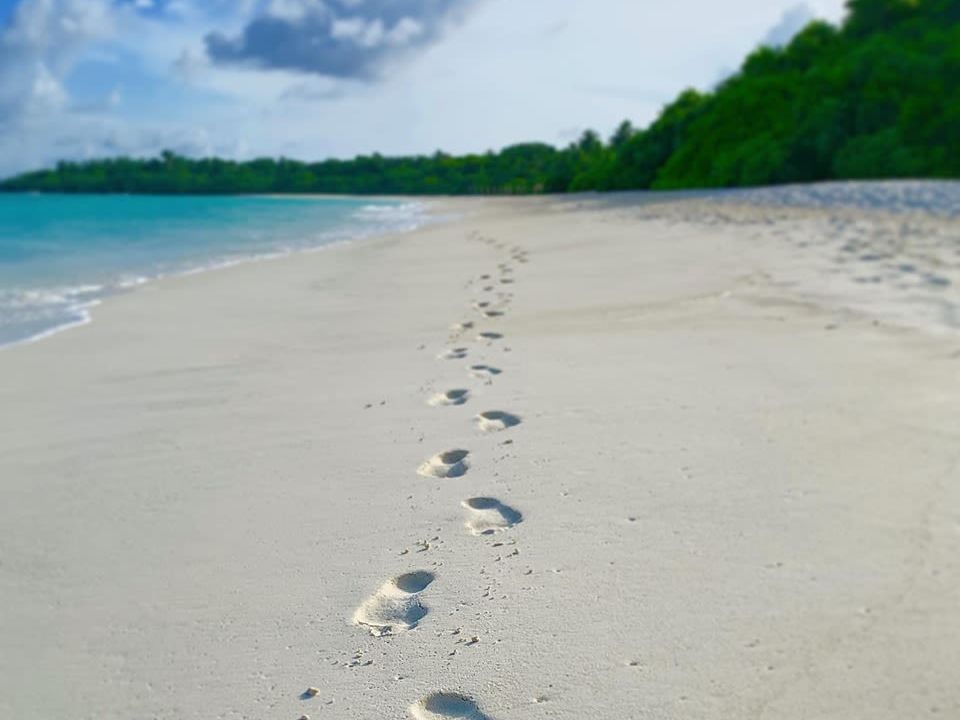 Introducing Hanimaadhoo