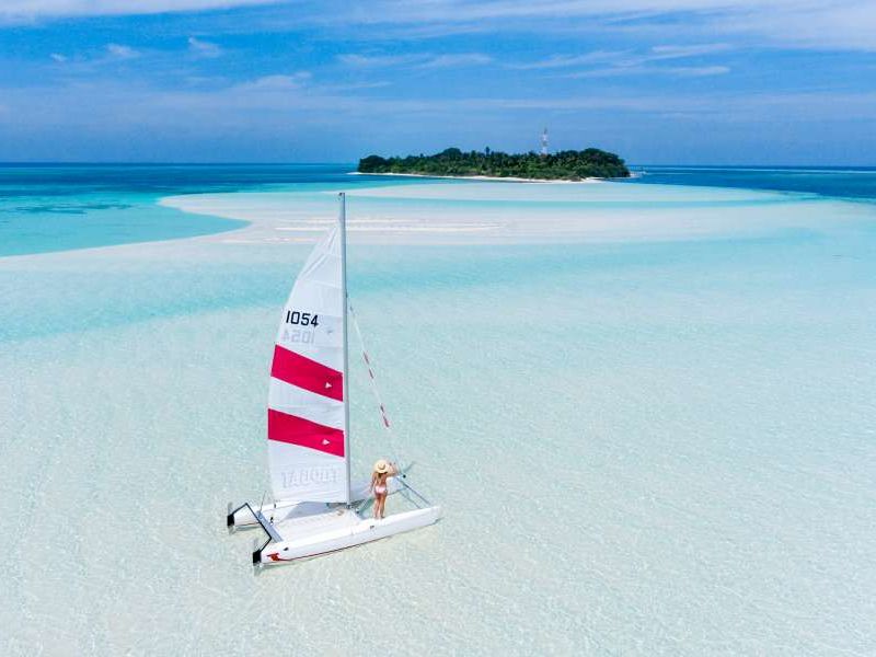 Coral Nursery Snorkelling & Tropical Forest Walk