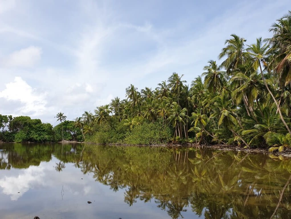 Snorkelling and Mangrove Kayaking on Goidhoo Island