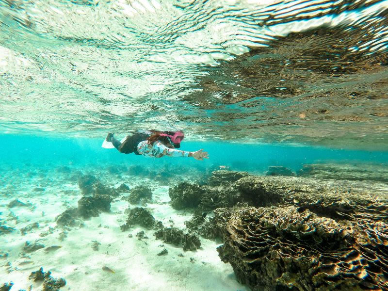 Speedboat from Fulhadhoo Island to Maalhos with Guided House Reef Snorkelling