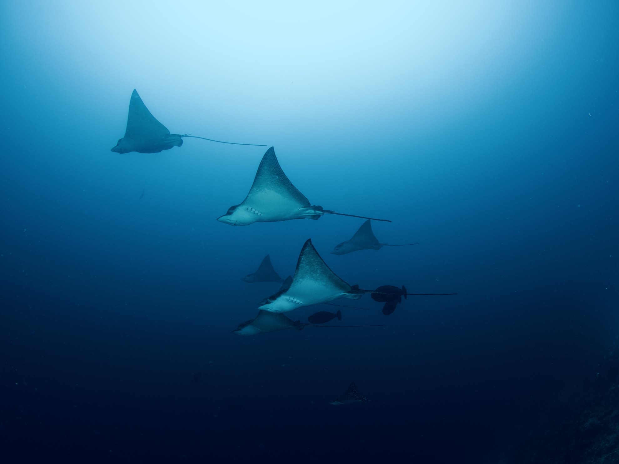 Day at Leisure on Thinadhoo