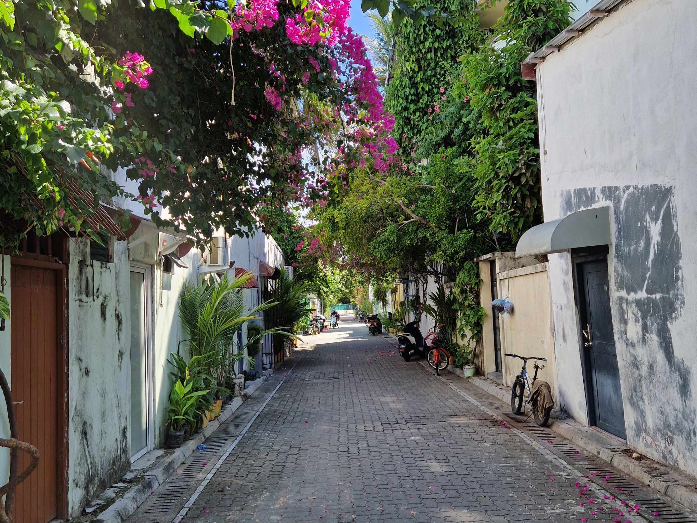 Transfer from Thinadhoo to Goidhoo with Villimale Eco Tour enroute