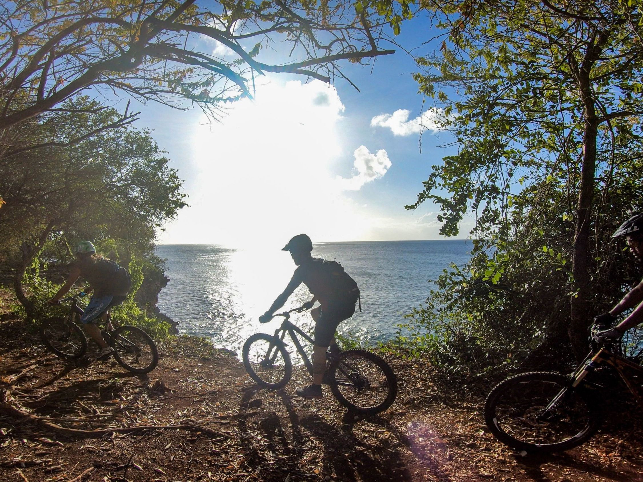 Downhill Bike Ride to the Coast and Transfer to Speyside