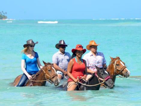 Being with Horses Excursion