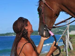 Being with Horses Excursion