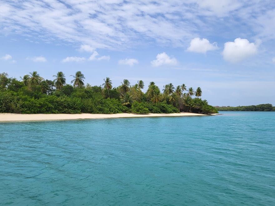 Catamaran Snorkelling - Tobago