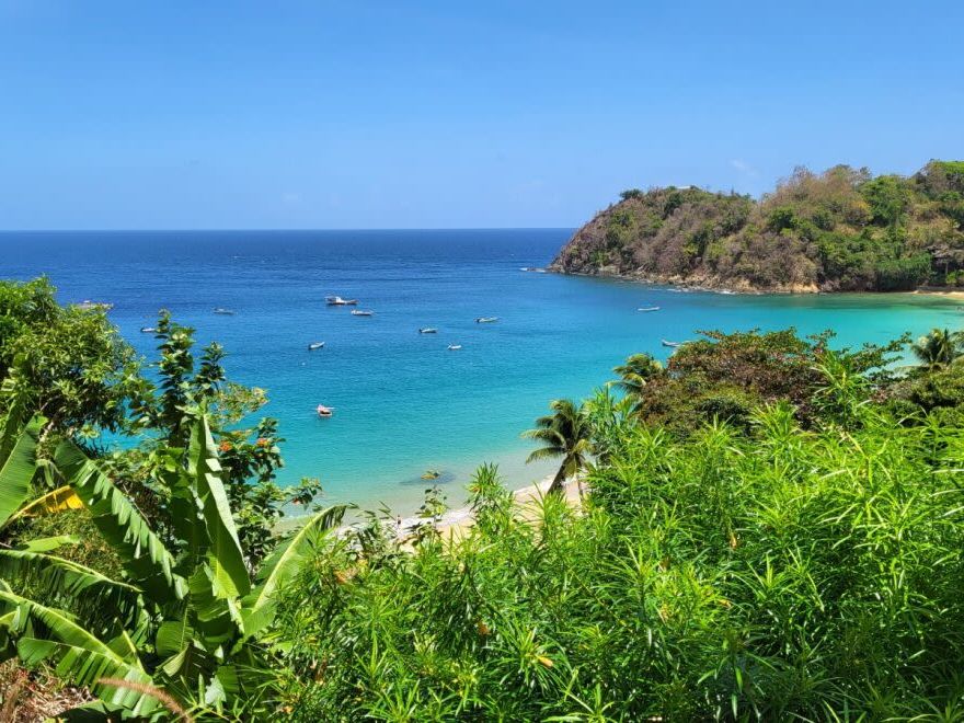 Birding and Lunch at Shurlands