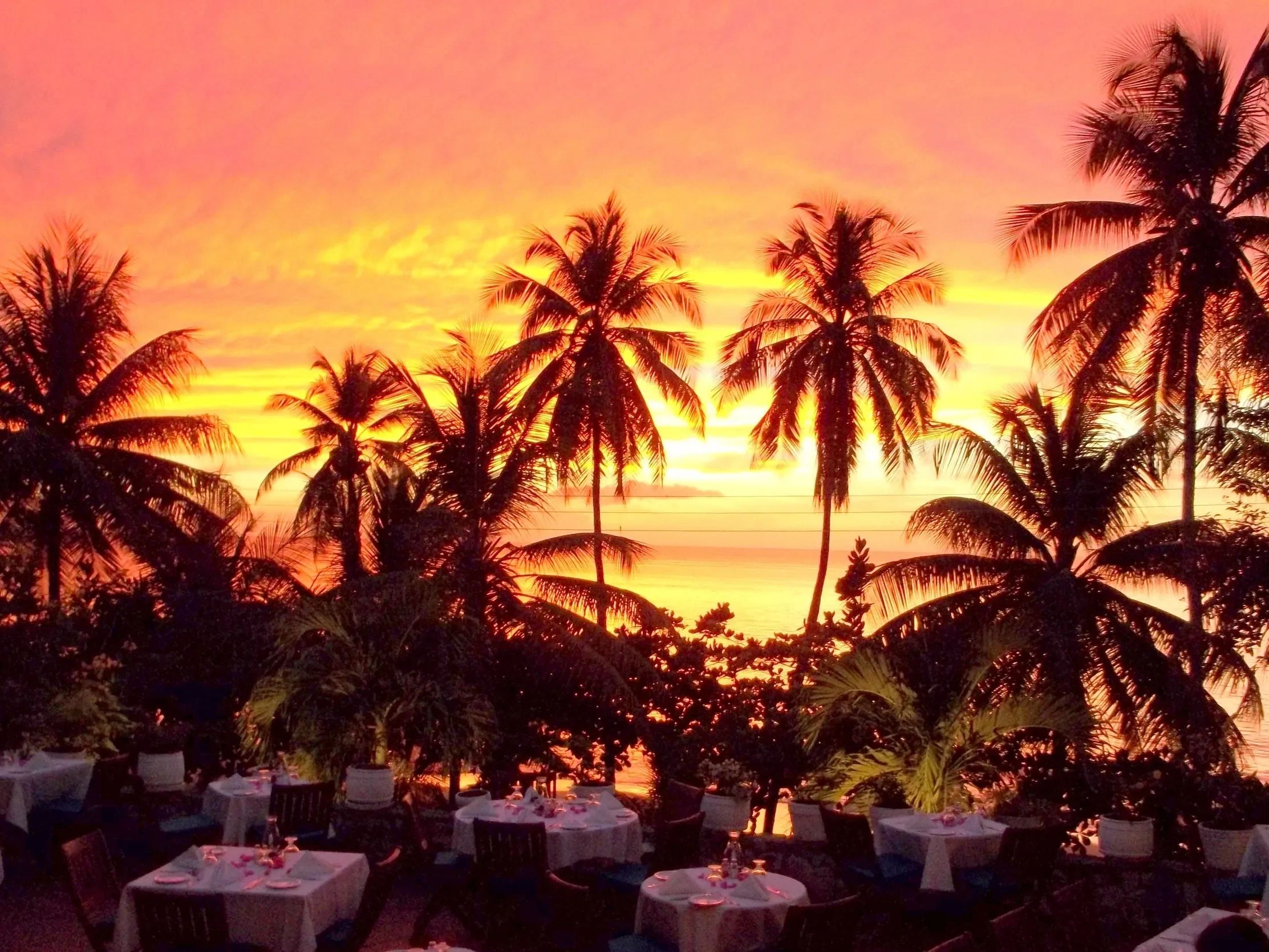 Dinner at the Seahorse Inn