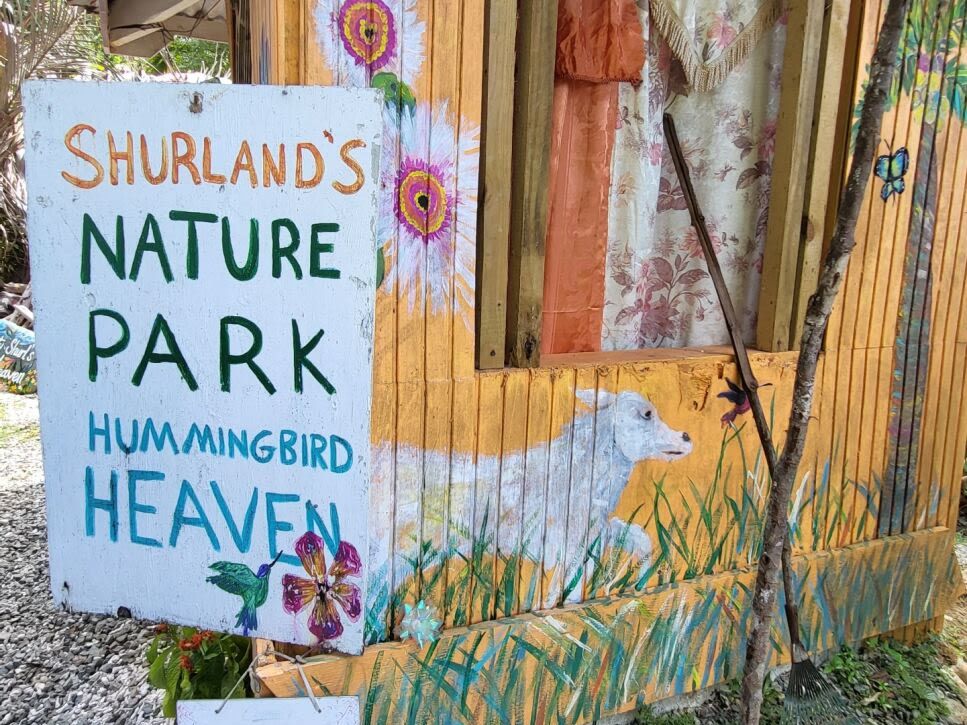 Birding and Lunch at Shurlands