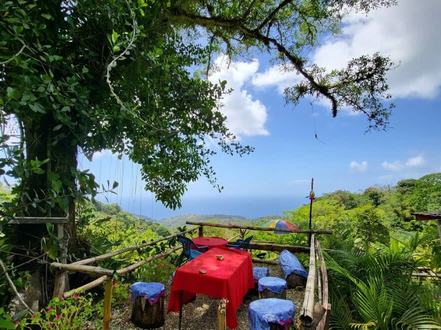 Birding and Lunch at Shurlands