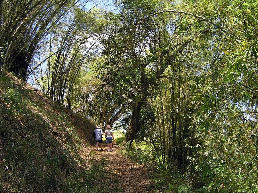 Scenic drive to Moriah and Nature Hike to Cuffie River
