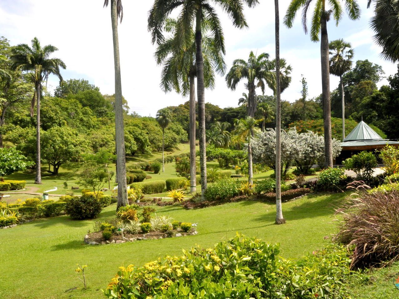 Scarborough Heritage Walk and Markets and Afternoon activity Being with Horses