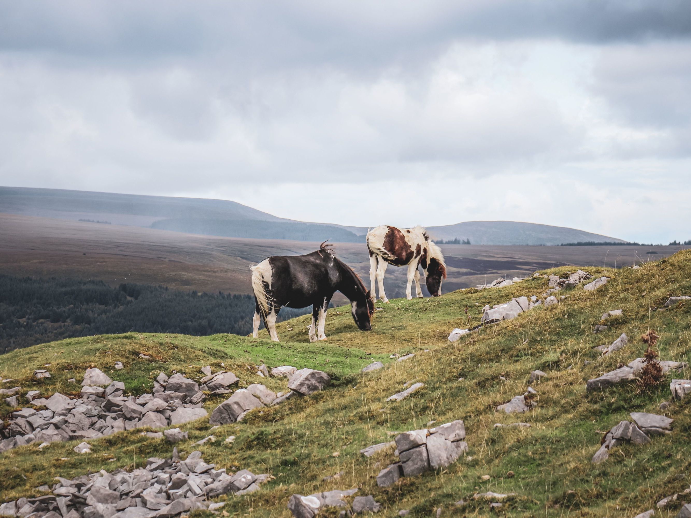 Sightseeing in the Brecon Beacons