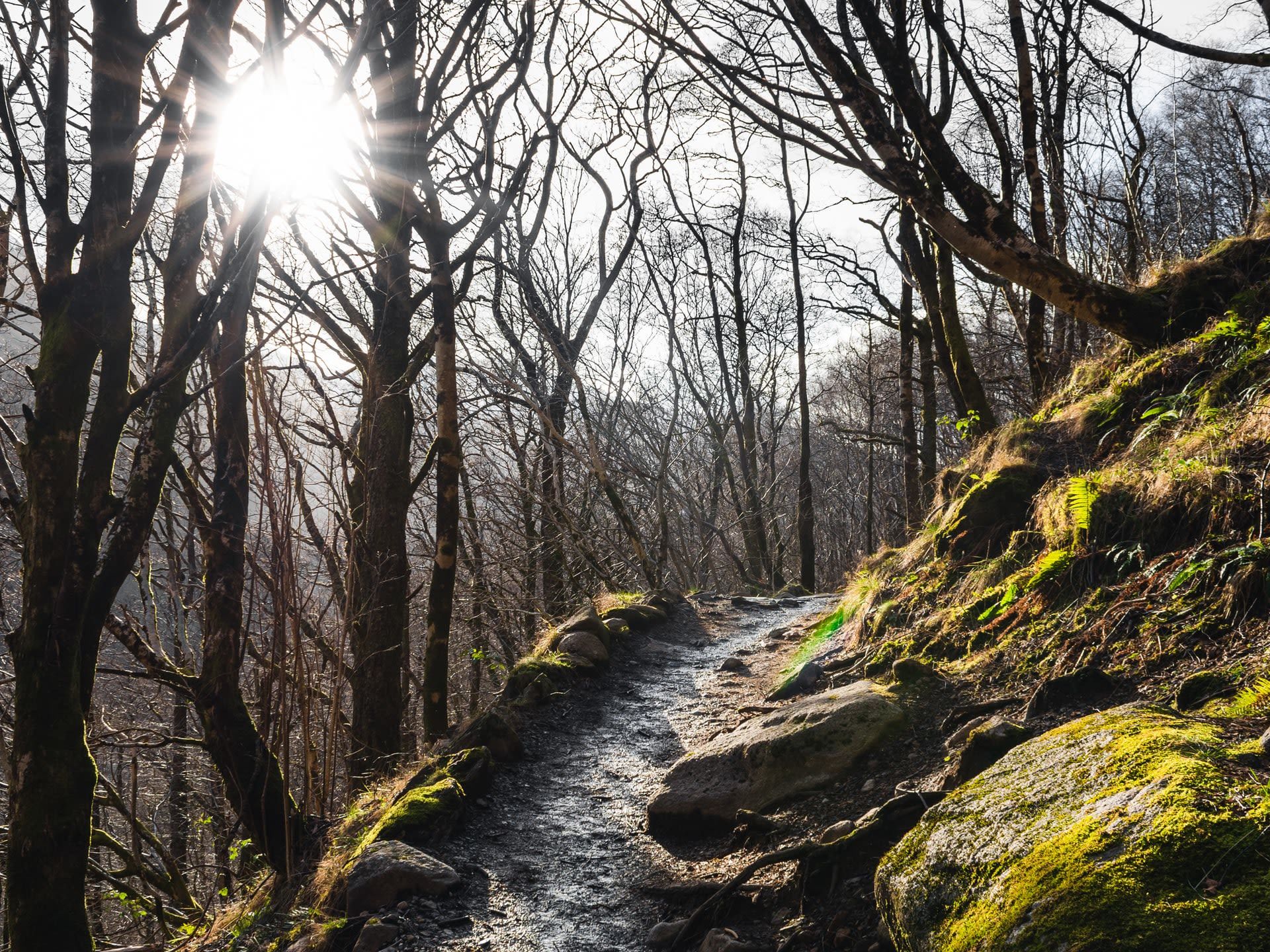 Exploring the North Coast Highlands