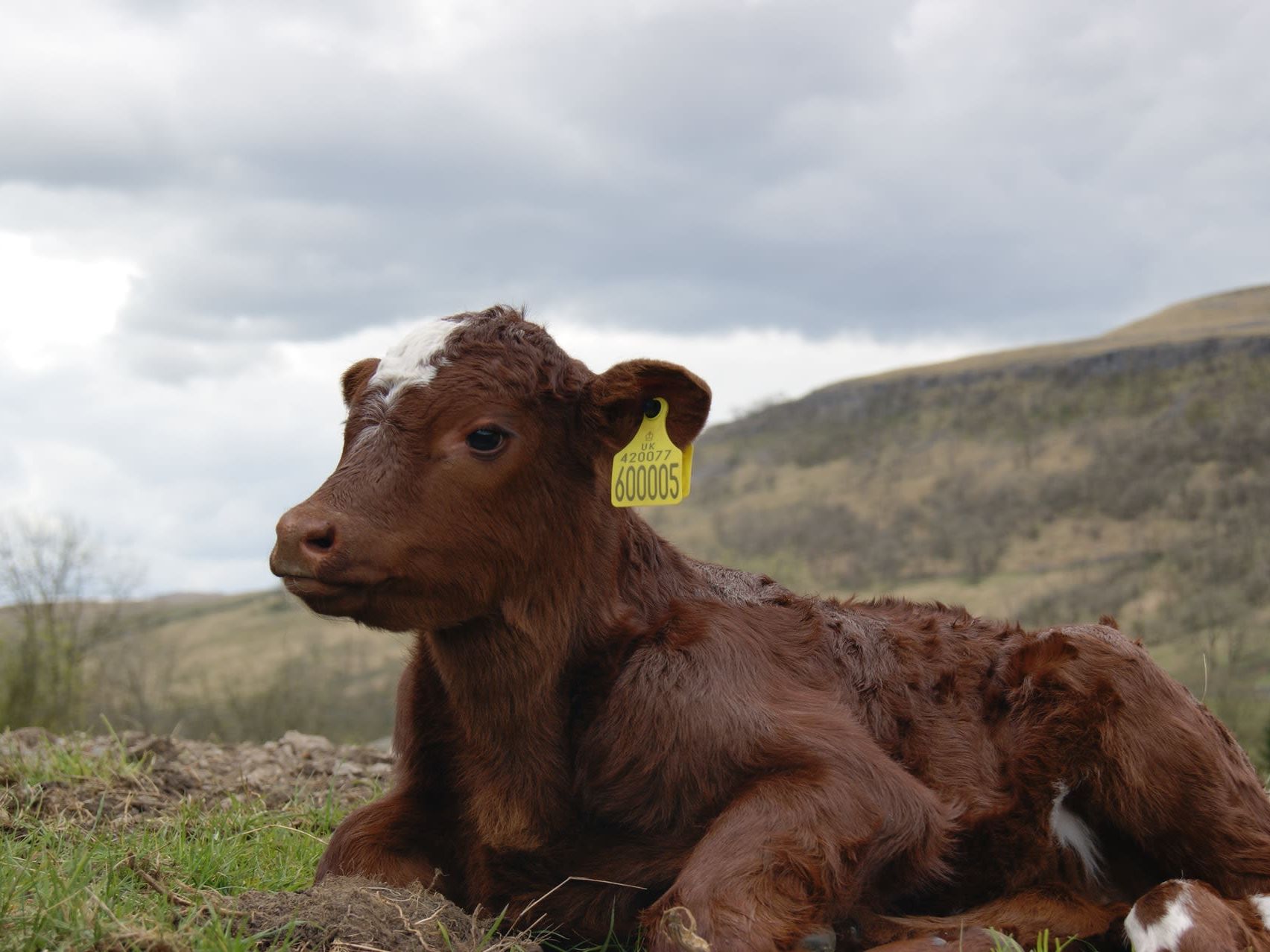 Yorkshire Sightseeing