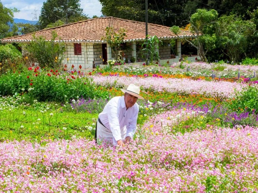 Day at Leisure in Medellin