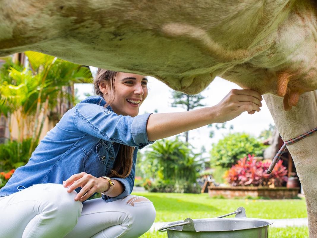 Activities at Hacienda La Danesa