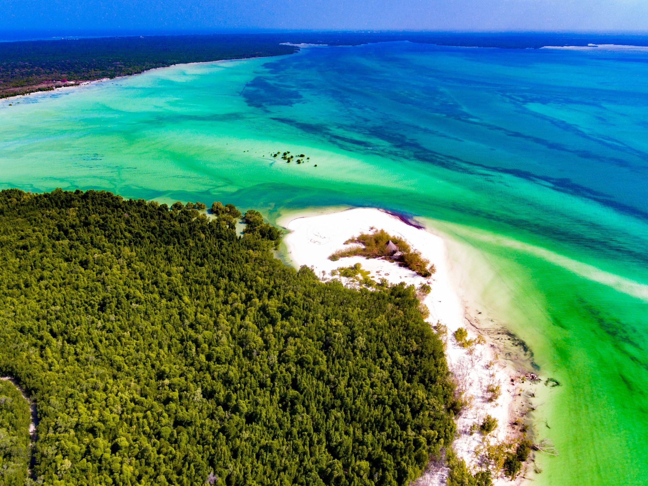 Departure Flight Home