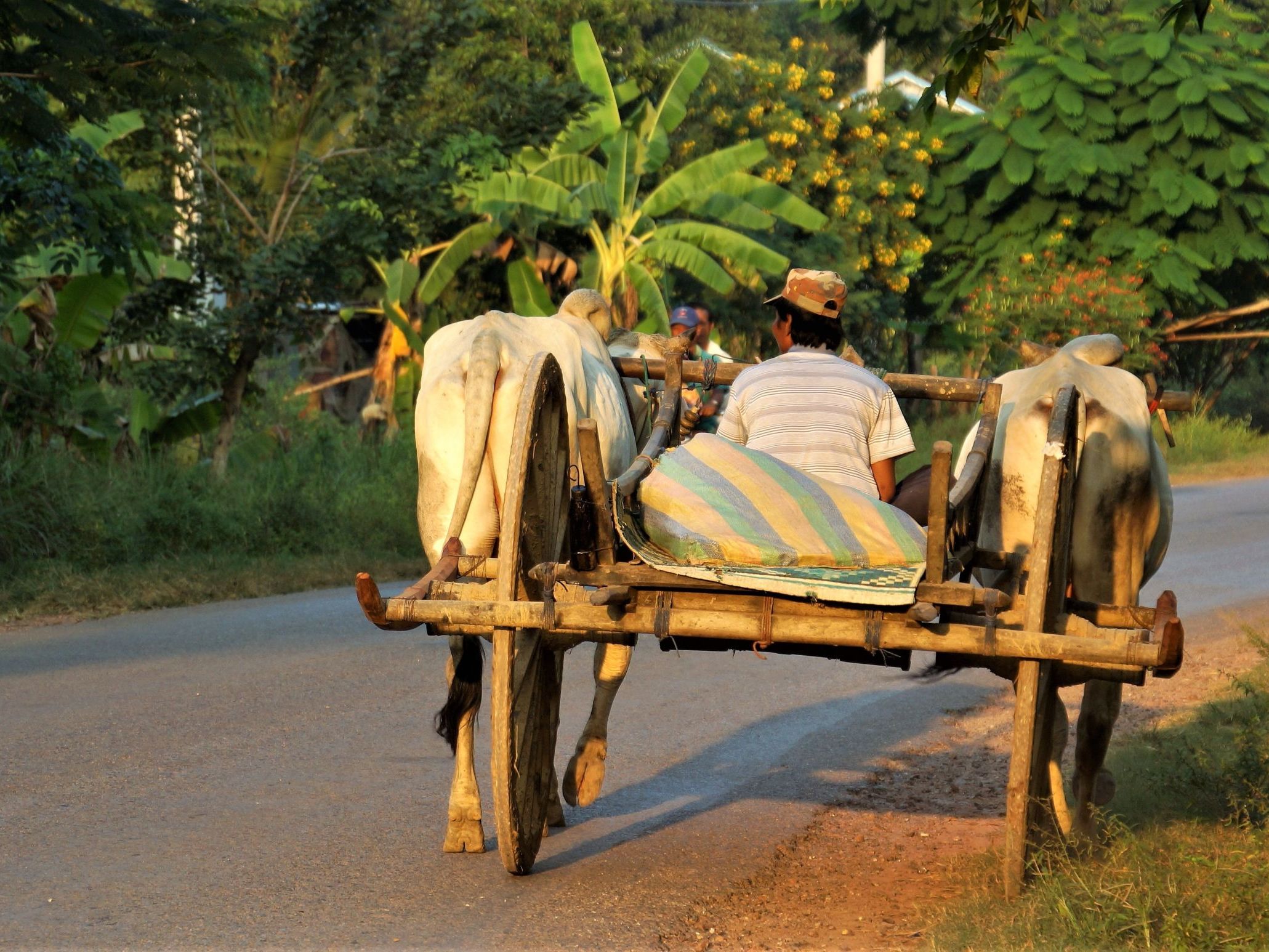 Local Farming Village Countryside Tour-Monk Blessing Ceremony -Old Market