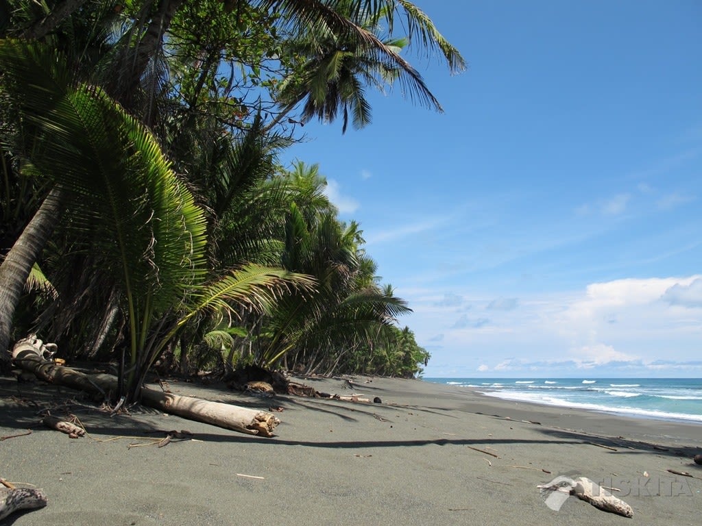 Introducing Puerto Viejo and the Caribbean Coastline