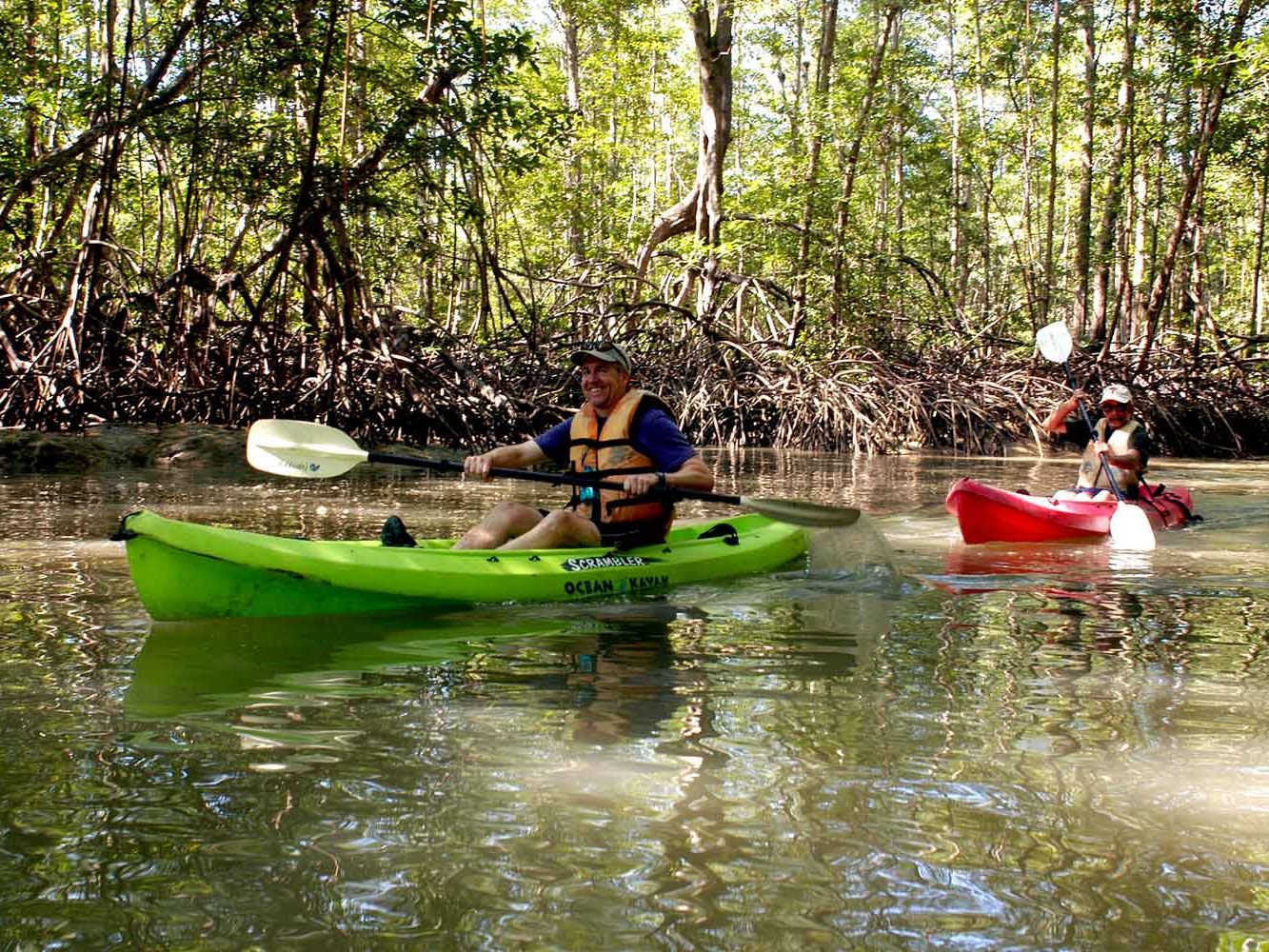 Introducing the Osa Peninsula