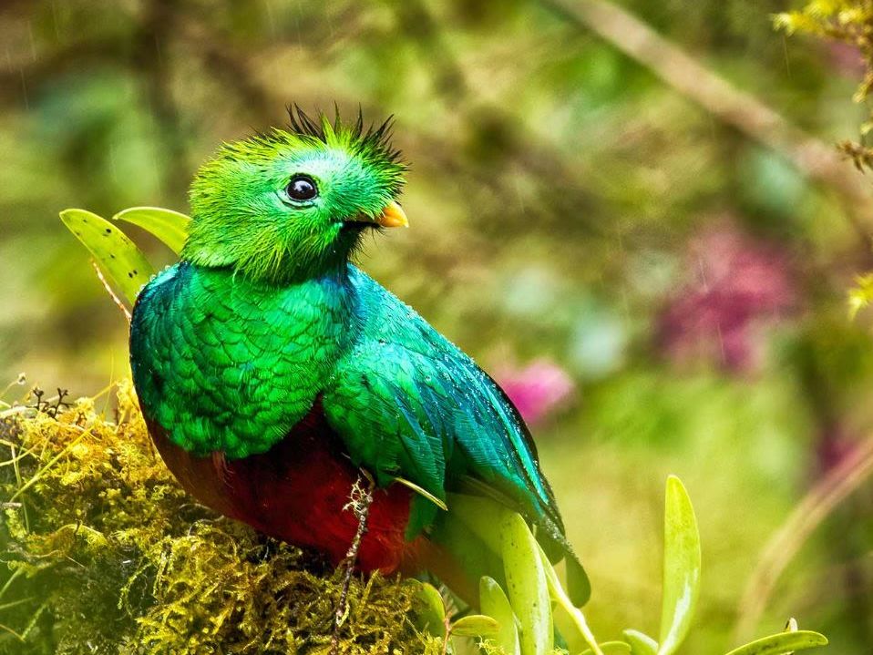 Introducing Costa Rica