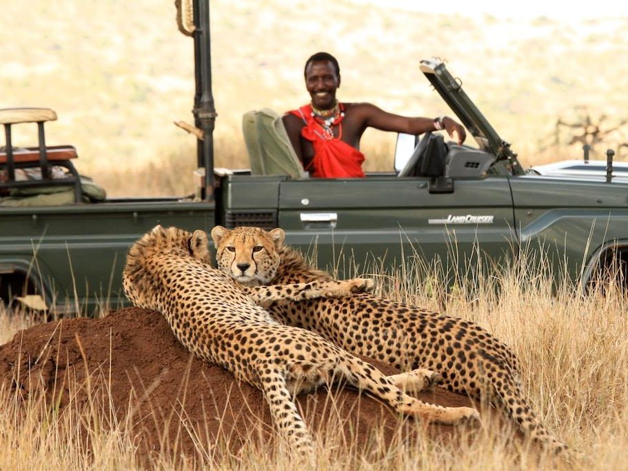 Game drives in Lewa Wilderness Conservancy