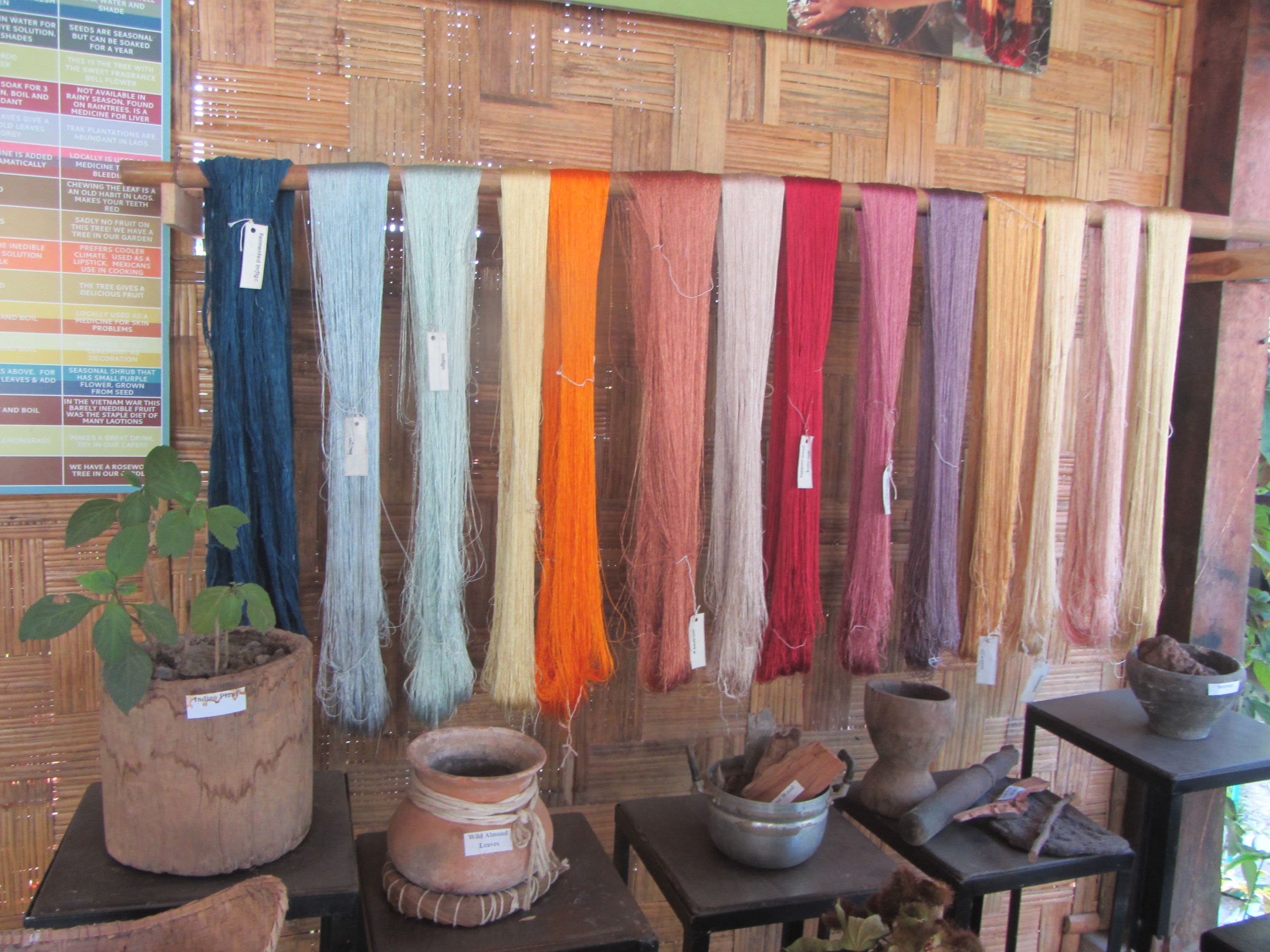 Half Day Natural Dyeing Class