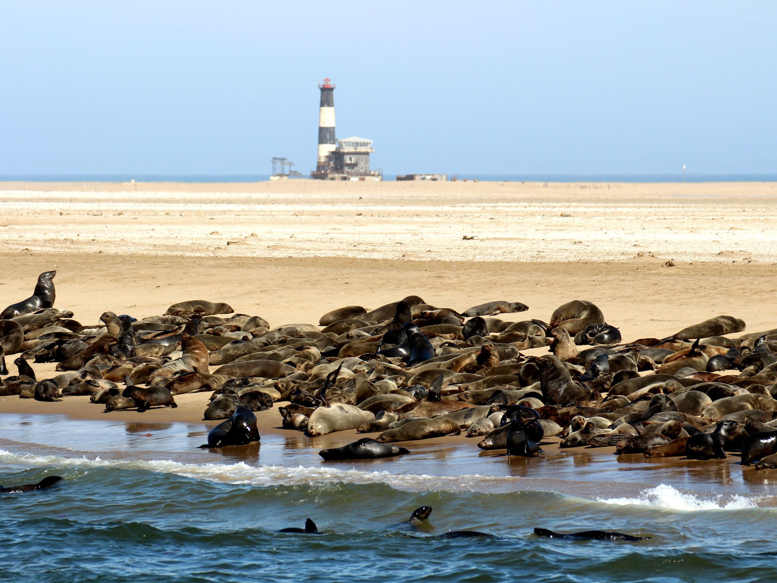 Full Day Exploring the Swakopmund area