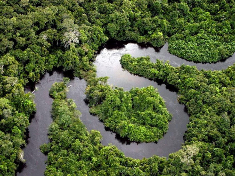 Full days exploring the Amazon basin on your luxury cruise vessel